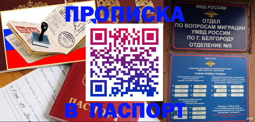 купить прописку в Краснозаводске